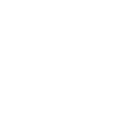 ssn-icon-shop